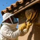 Bee removal technician removing hive from Phoenix home